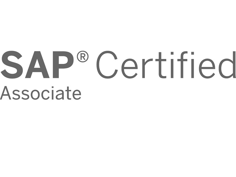 logo Digital Excellence